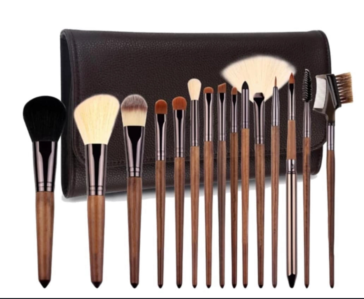 Professional Makeup Brush Kit